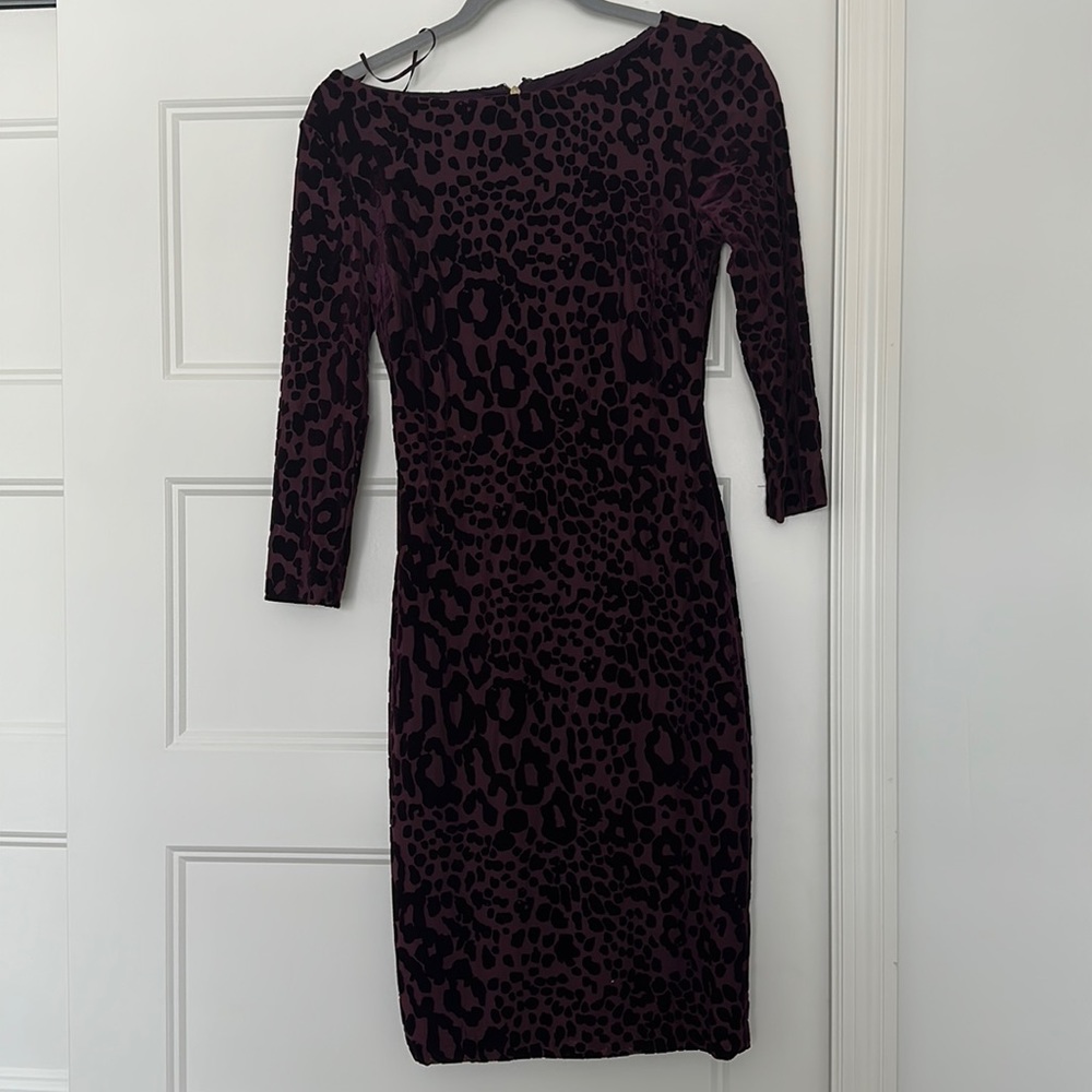 Cache velvet leopard print dress | Size 4